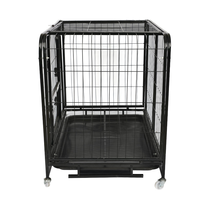 Cage sreinge mór miotail madraí