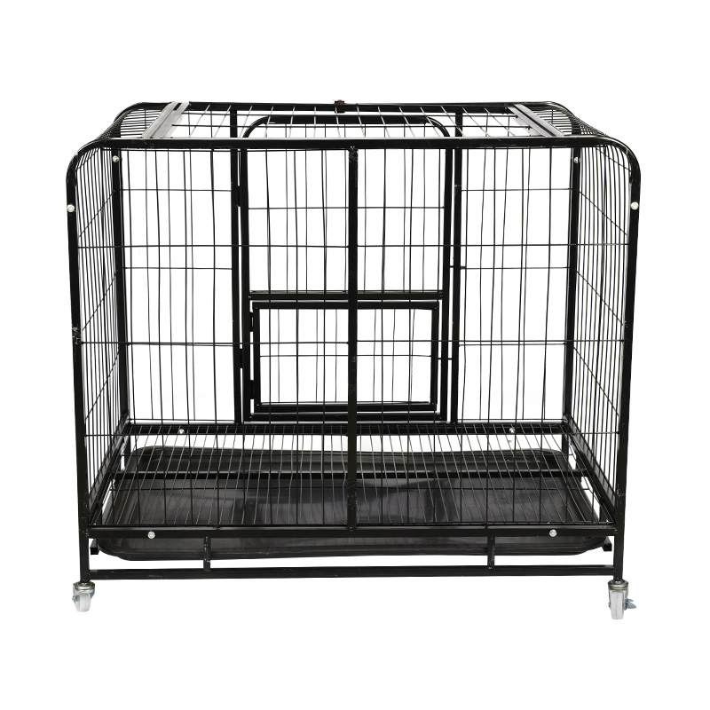 Cage sreinge mór miotail madraí
