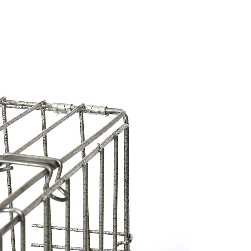 Cage madraí sreinge miotail madraí mór