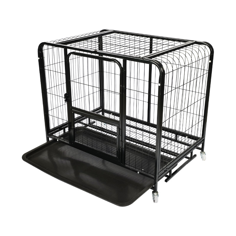 Cage sreinge mór miotail madraí