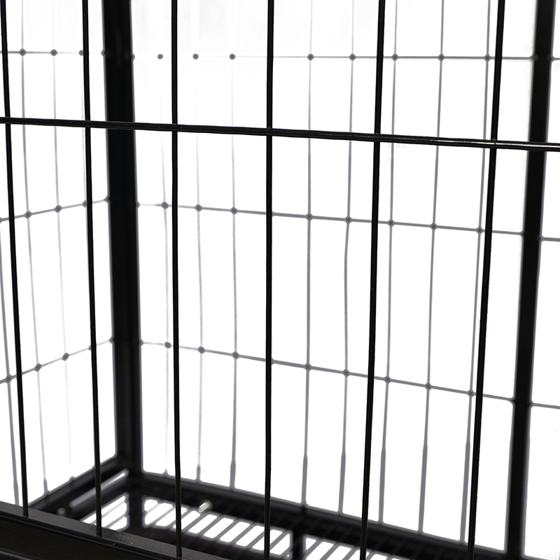 Cage sreinge mór miotail madraí