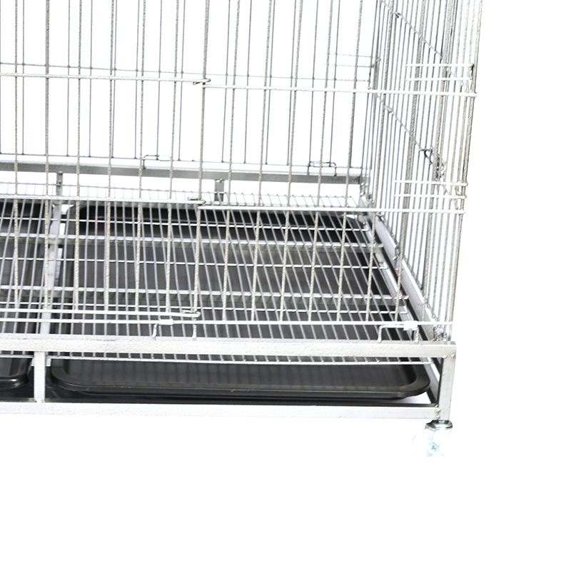 Cage madraí sreinge miotail madraí mór