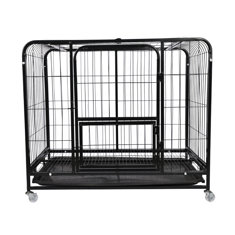 Cage sreinge mór miotail madraí